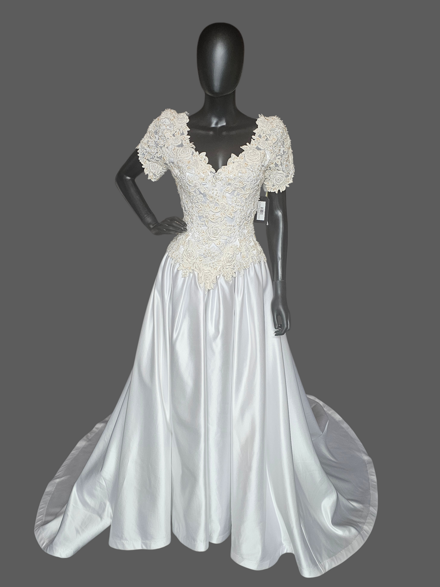 Vintage White Embroidered Cap Sleeve N-Neck Wedding Gown - Modest