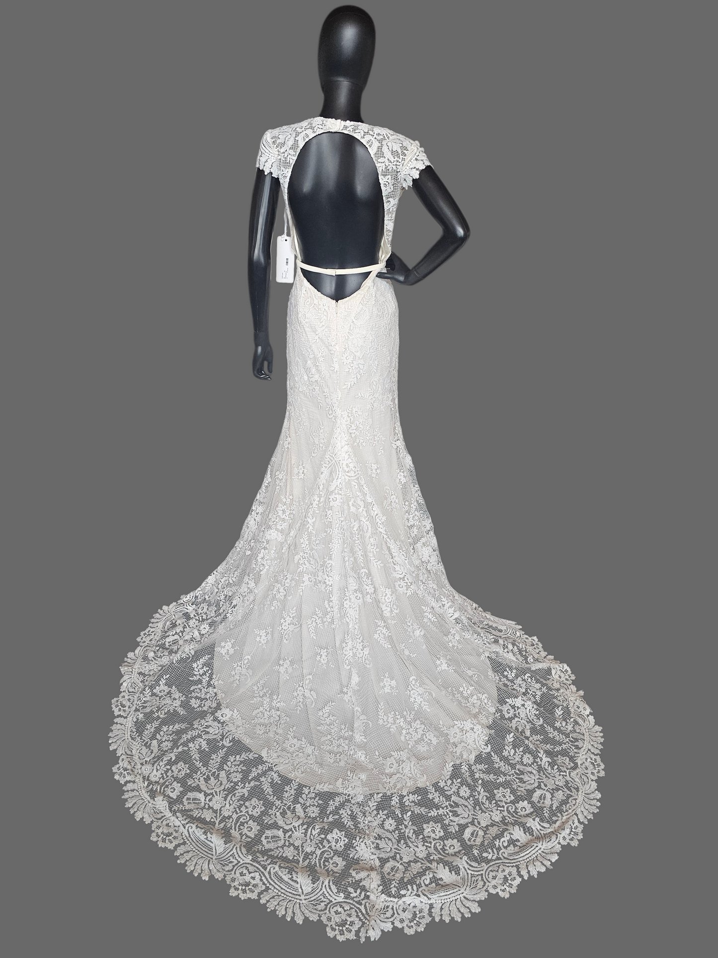 Ivory Open Weave Lace Cap Sleeve Open Open Back Wedding Gown - Beloved