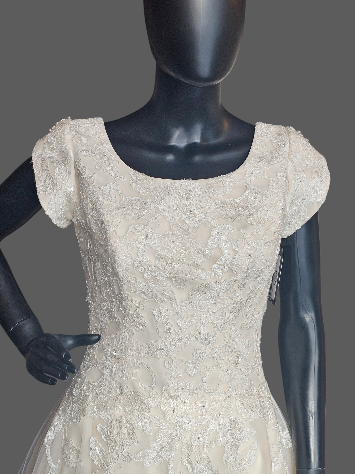 Champagne A-Line Cap Sleeve Floral Embroidered Wedding Gown - Bliss