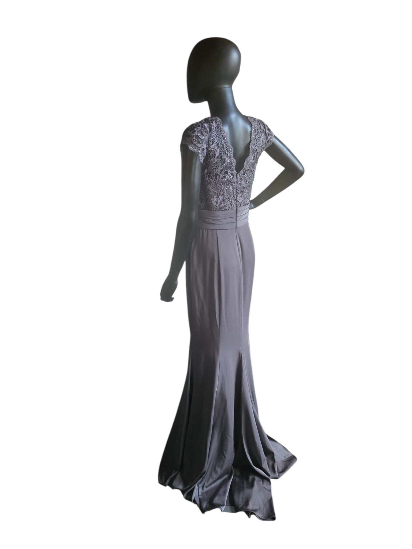 Slate Lace Cap Sleeve Fit/Flare  Rhinestone Detail Belt design Train Formal Dress - Alyce