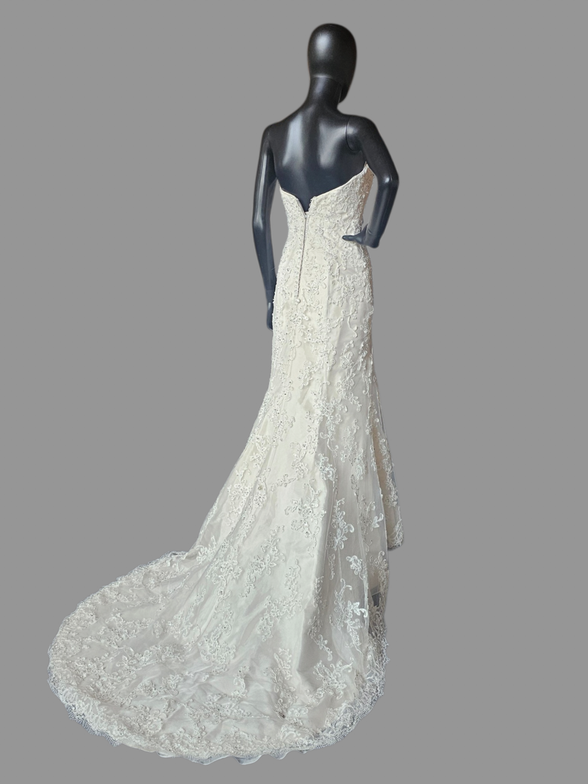 Ivory Lace Fit/Flare Sweetheart  Wedding Gown - Sottero & Midgley