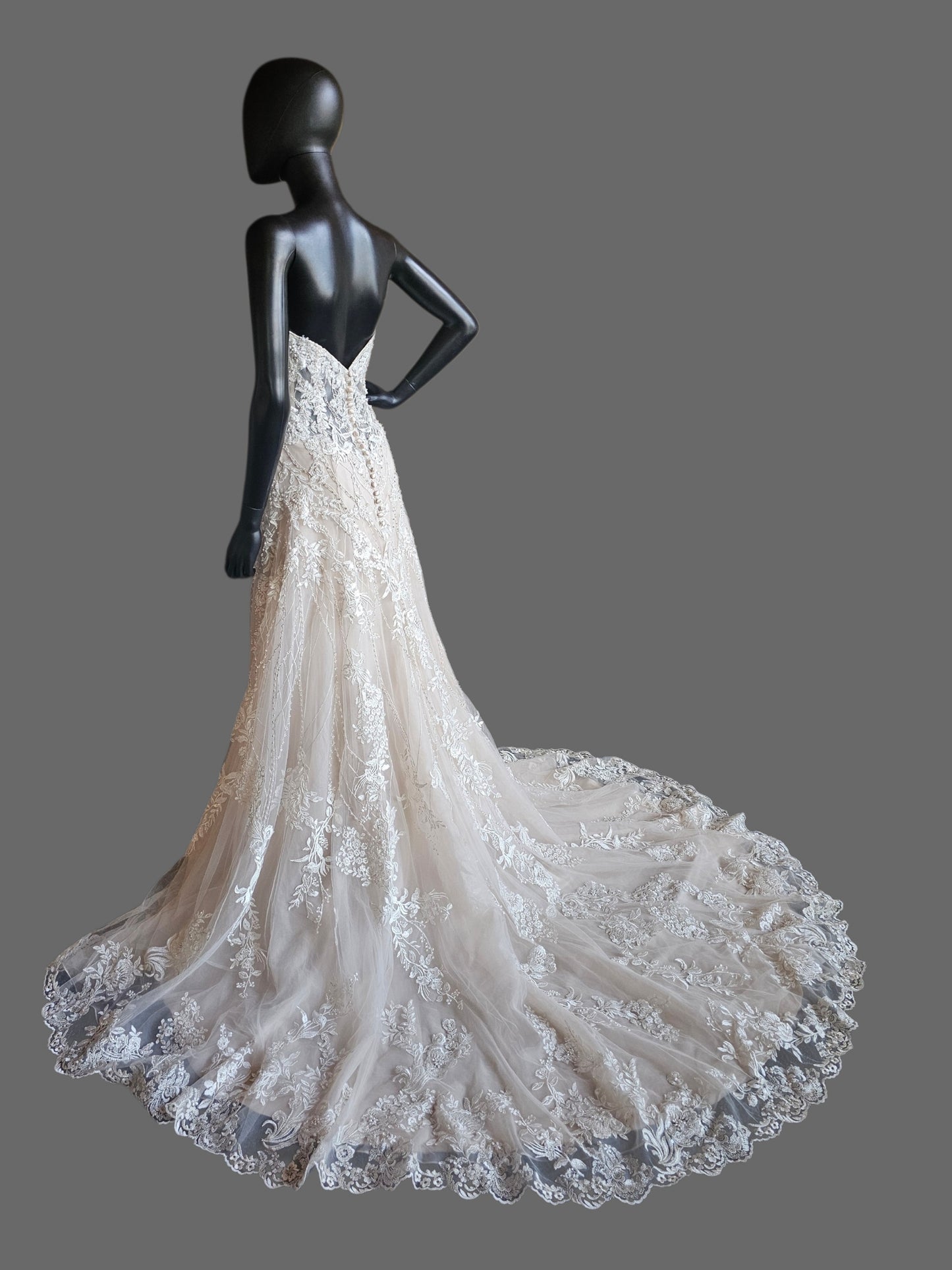 Nude/ White Full Scale Floral Beading Strapless Sweetheart Illusion Bodice Beaded Fit/Flare Wedding Gown - Beloved