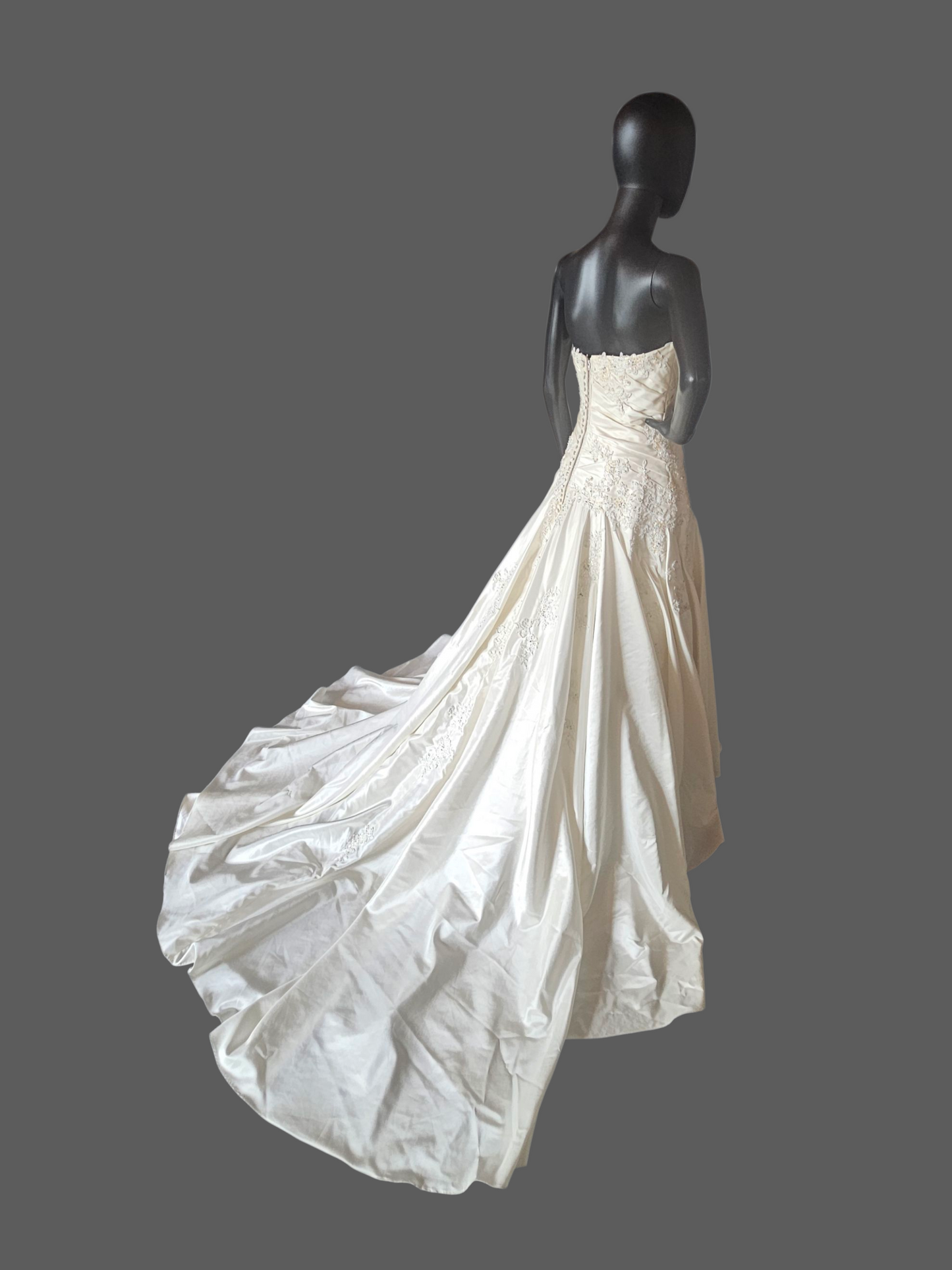 Ivory Taffeta Lace Embellish Wedding Gown - Blue