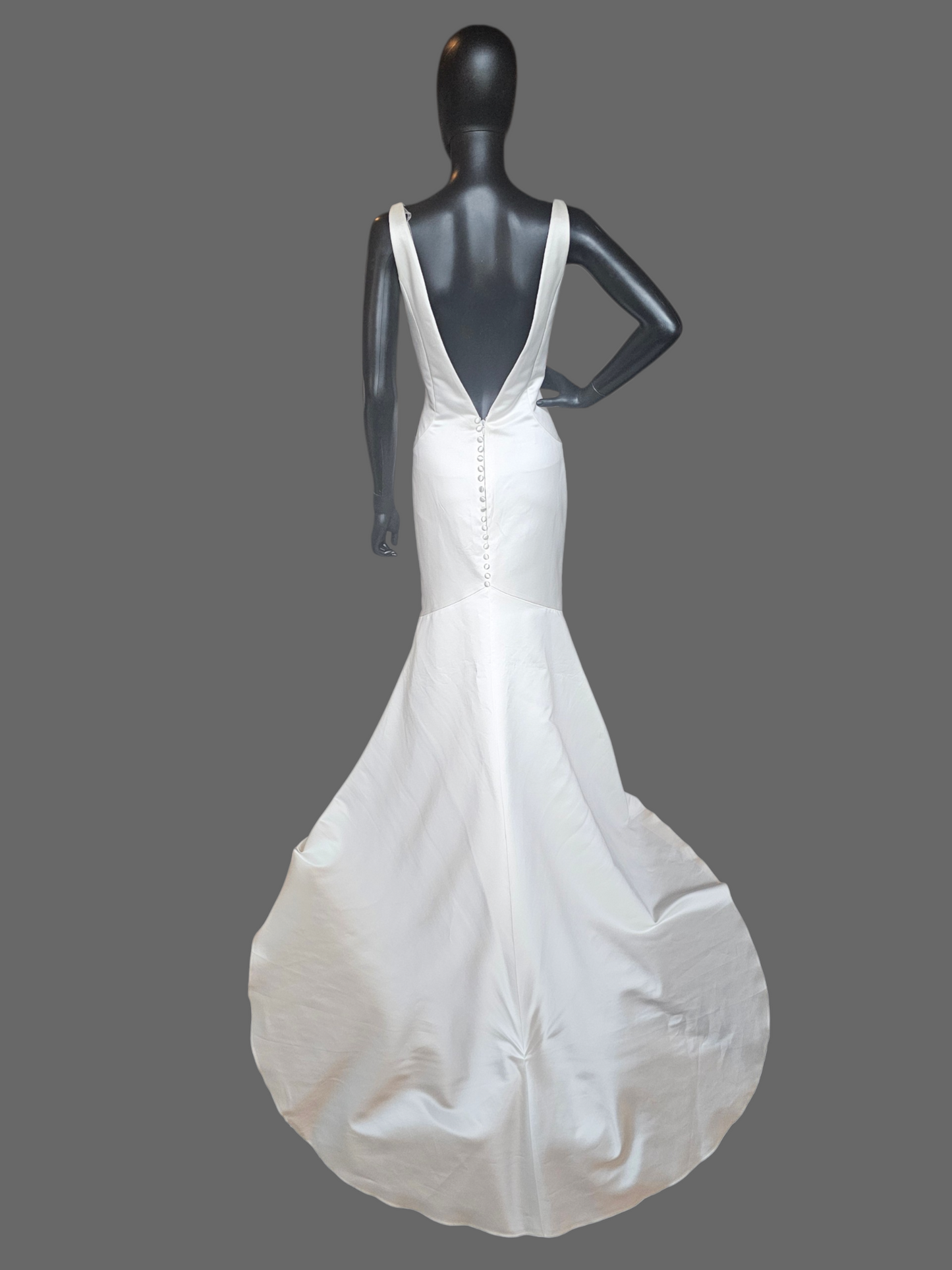 Minimalist V-Neck Satin Fit/Flare - The Other